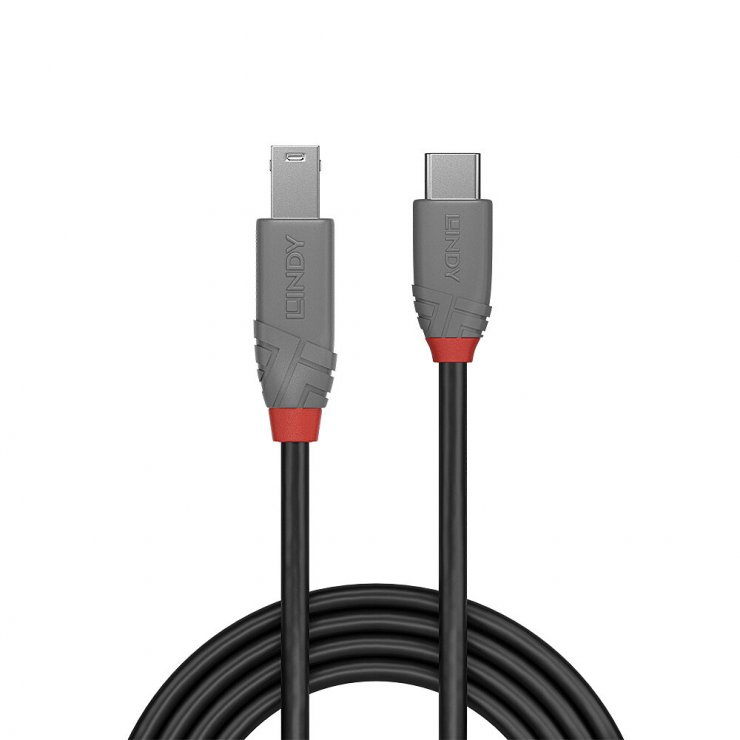 Imagine Cablu USB 3.2 Type C la USB-B Anthra Line 1m, Lindy L36666